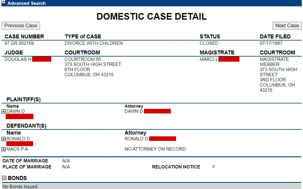 Screenshot of a domestic case detail displaying the names of both plaintiff and defendant, case type, number, and status, filing date, names of judge and magistrate, and courtroom details, among others.